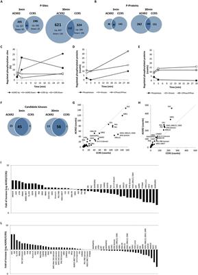 Phosphoproteomic mapping of CCR5 and ACKR2 signaling properties